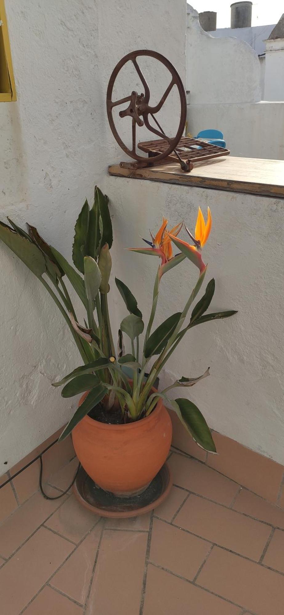 Atico En La Candelaria Cádiz Exteriér fotografie